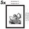 Americanflat Picture Frame Set with Mat - Set of 5 - Photo Frame Set of Five for Wall Display - Plexiglass Cover - Hanging Hardware